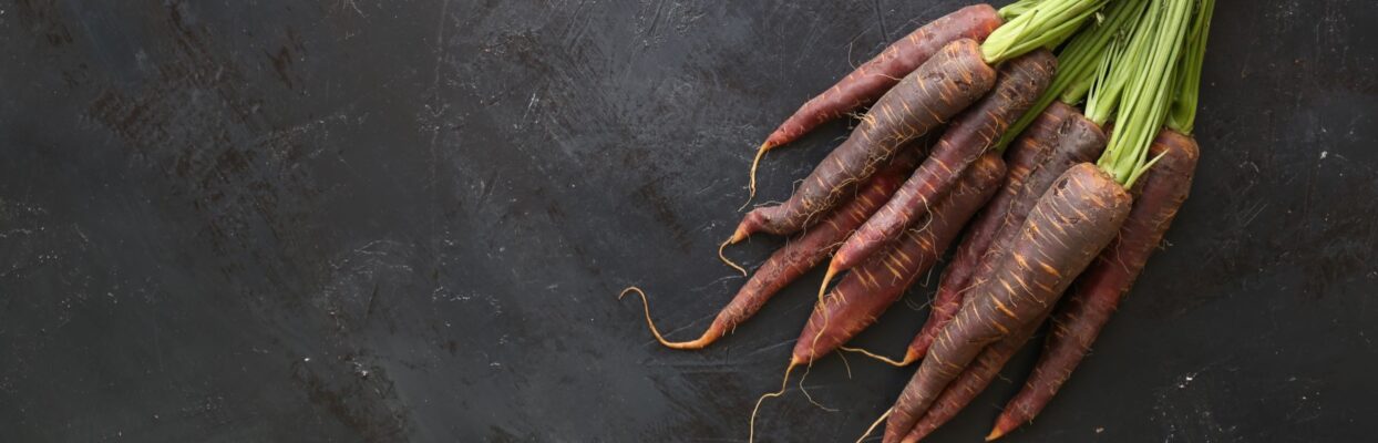 a bundle or raw black carrots sits on countertop