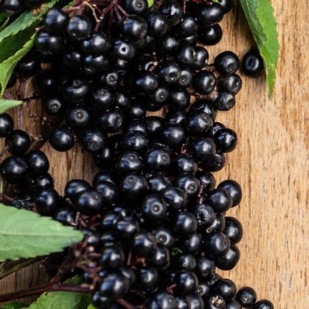 berries with cyanidin