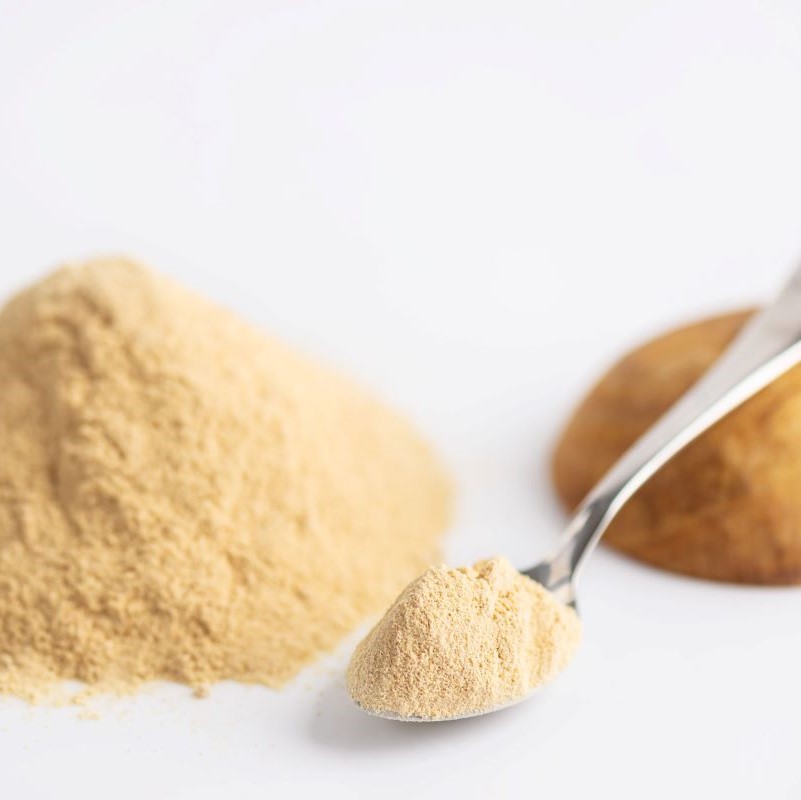 Lecithin in the Food Industry Periodical by Knowde