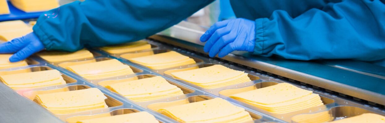 processed cheese production rectangle