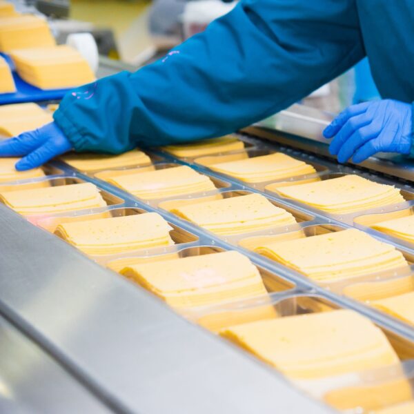 processed cheese production square